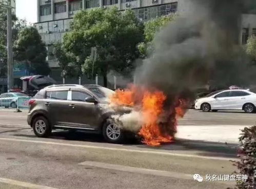汽车撞车多少会起火 汽车撞车多少会起火